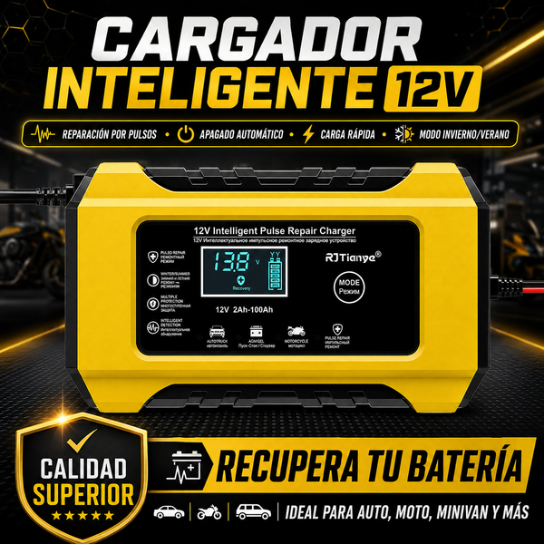 Cargador Inteligente de Batería para Motocicleta y Coche con Pantalla LCD Digital (RBA0100)