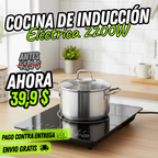 Placa de Inducción 110V Inteligente, Pantalla Táctil, Cocina Premium (IND0100) TT