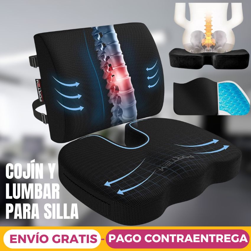 Cojín y Lumbar Para Silla CSI0105