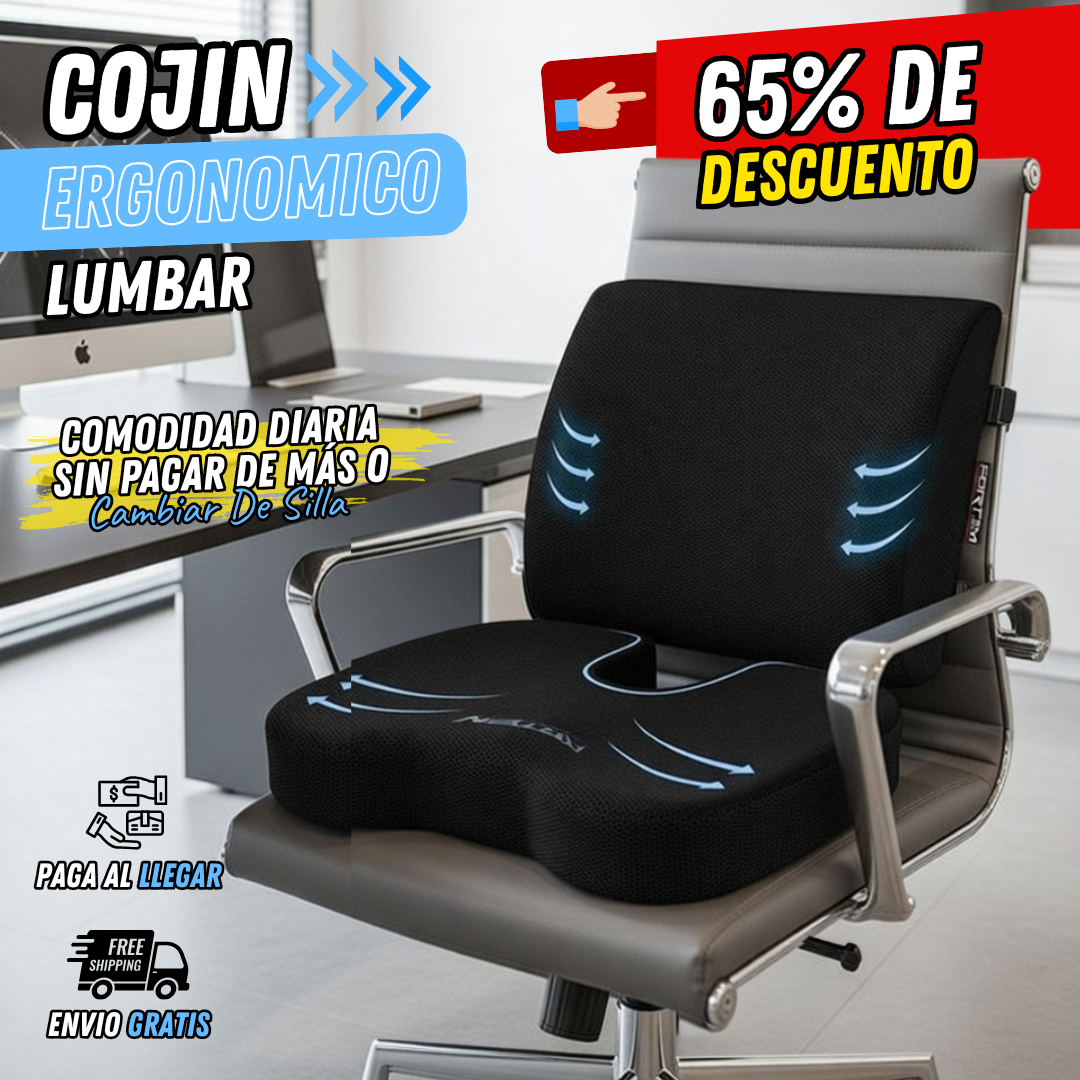 Cojín y Lumbar Para Silla CSI0105