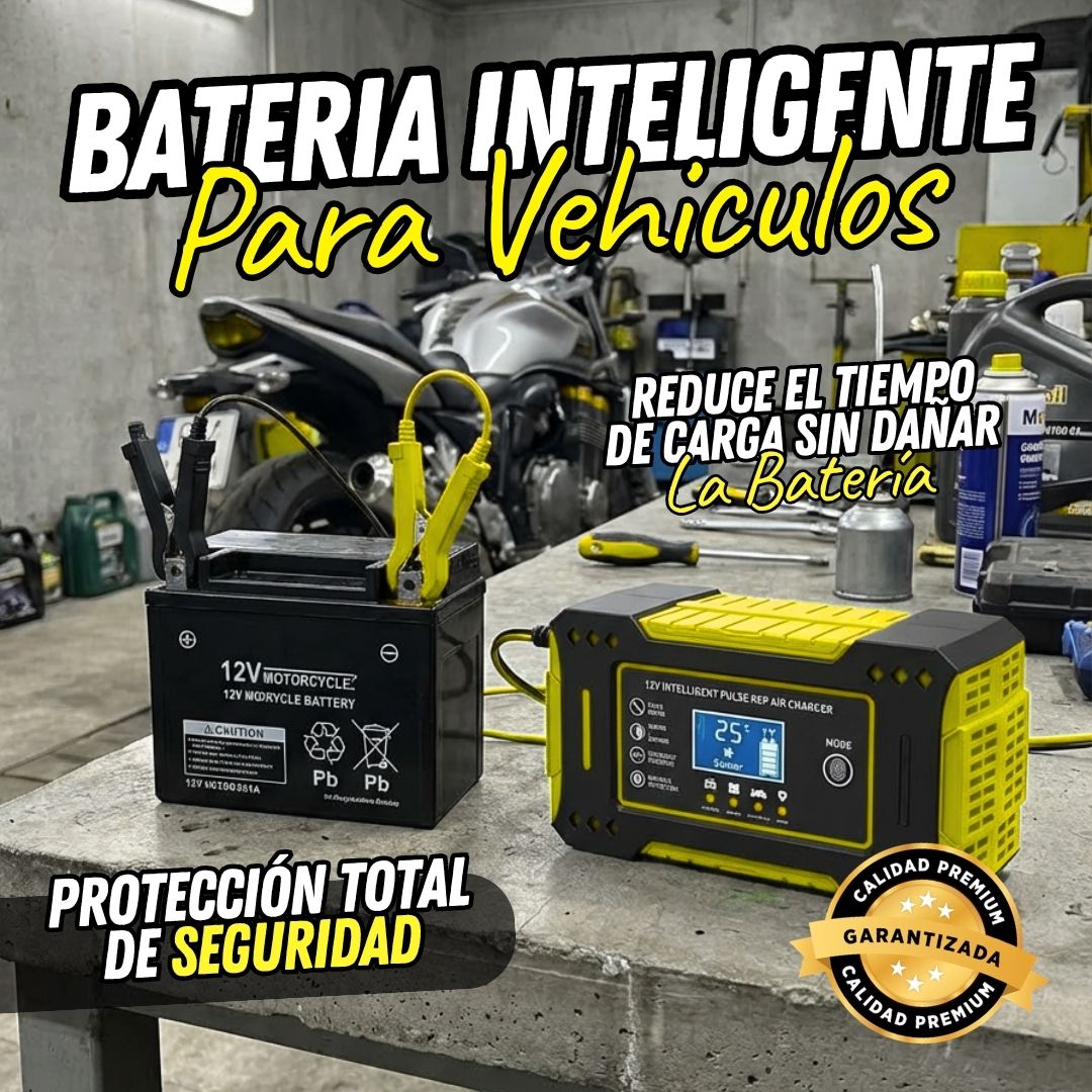 Cargador Inteligente de Batería para Motocicleta y Coche con Pantalla LCD Digital (RBA0100)
