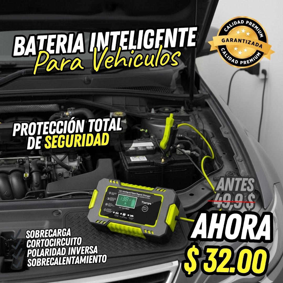 Cargador Inteligente de Batería para Motocicleta y Coche con Pantalla LCD Digital (RBA0100)
